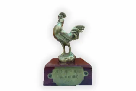imagen de premio gogo andreu